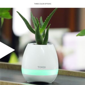 Touch-sensitive music vase desktop audio