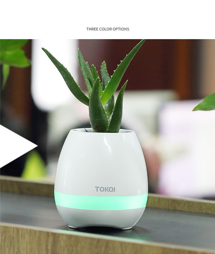 Touch-sensitive music vase desktop audio - Image 2