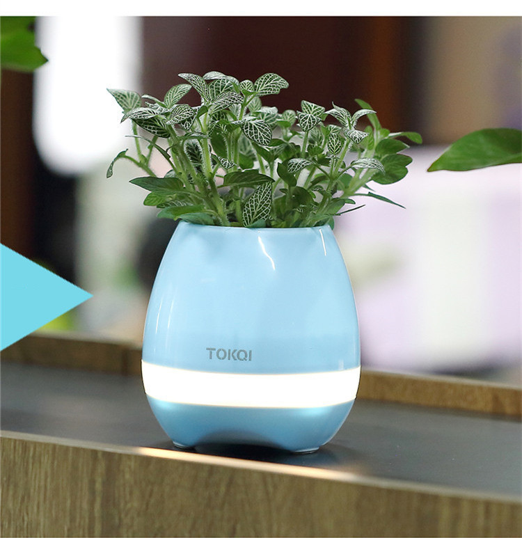 Touch-sensitive music vase desktop audio - Image 3